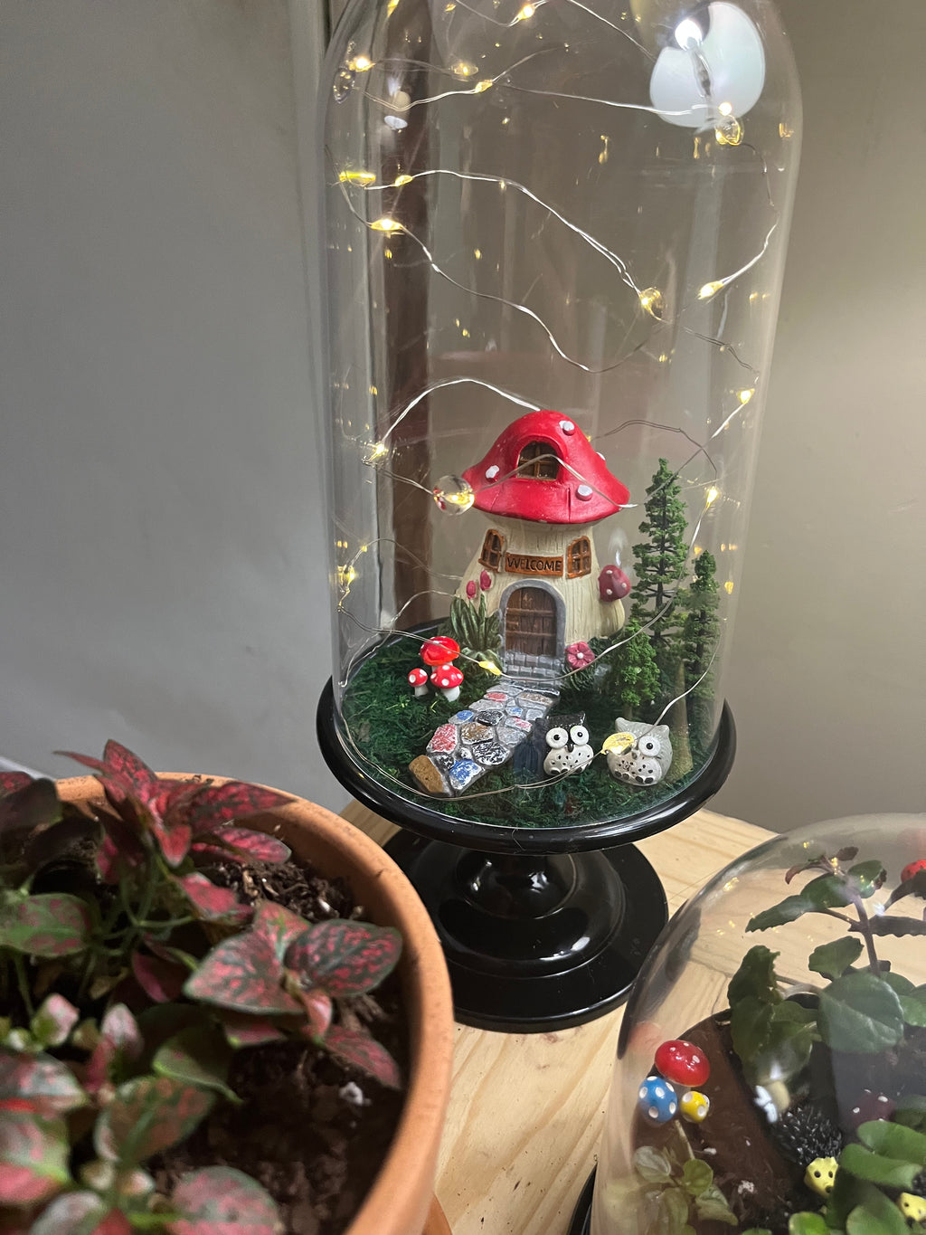 Large custom Terrarium