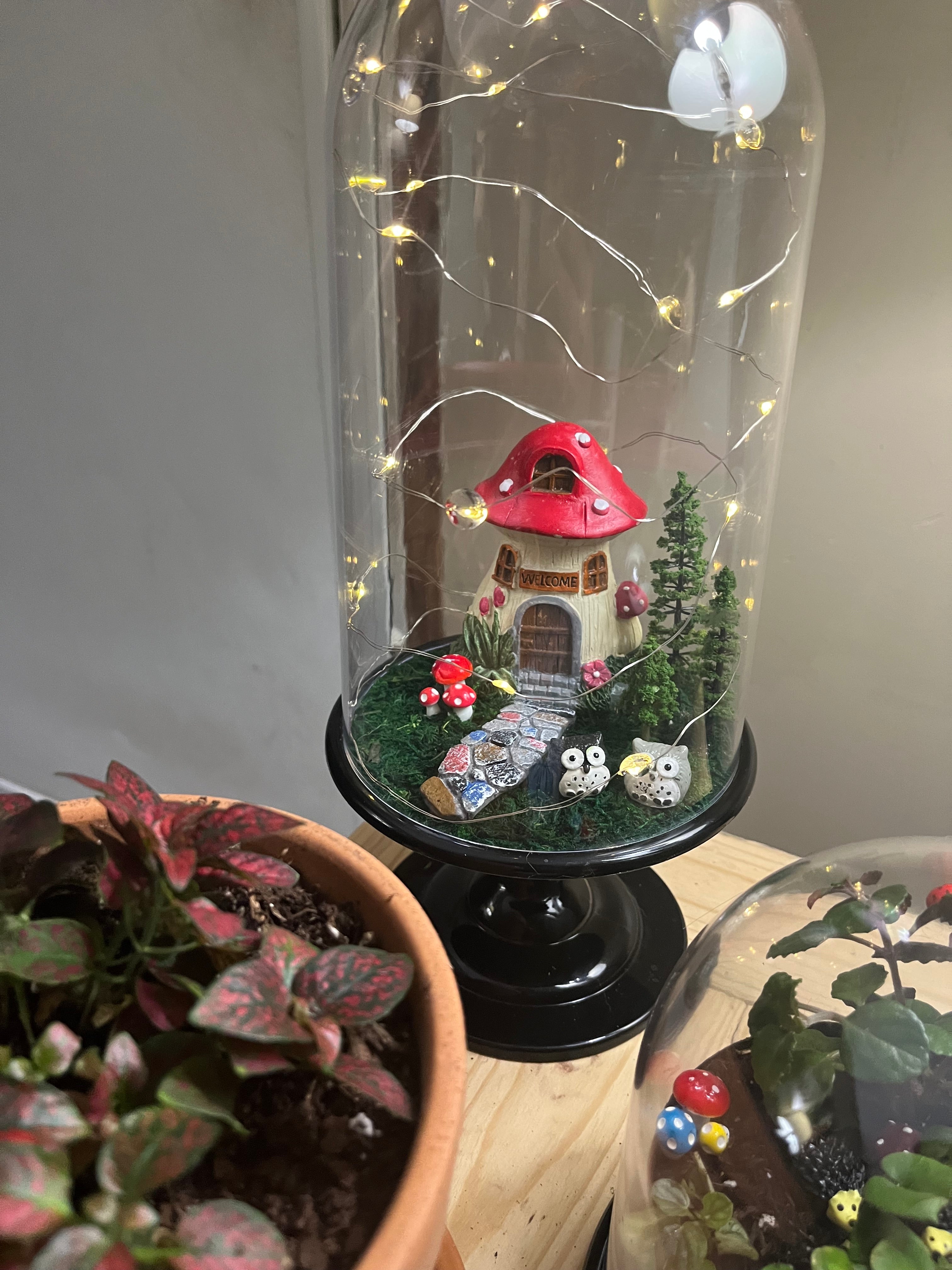 Large custom Terrarium