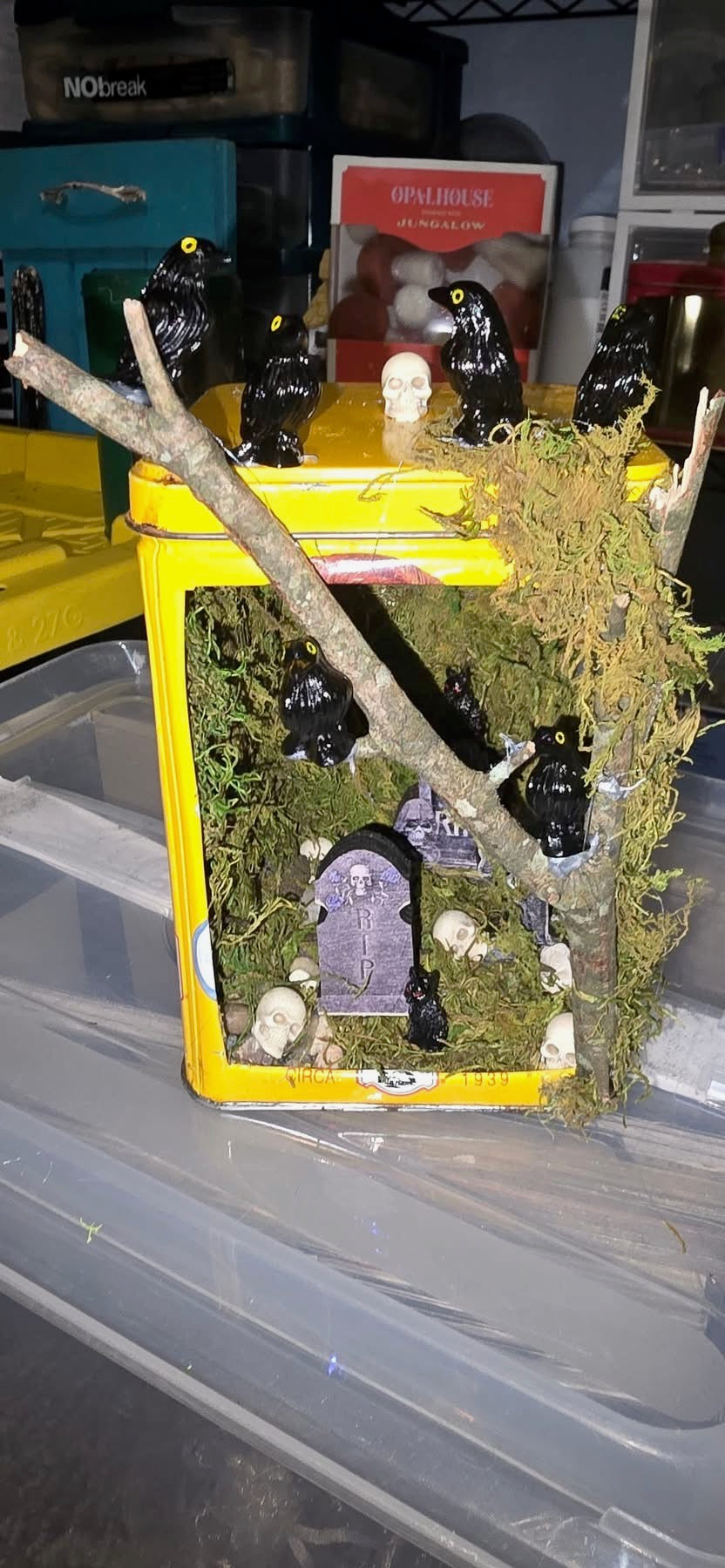 Small Custom Terrarium