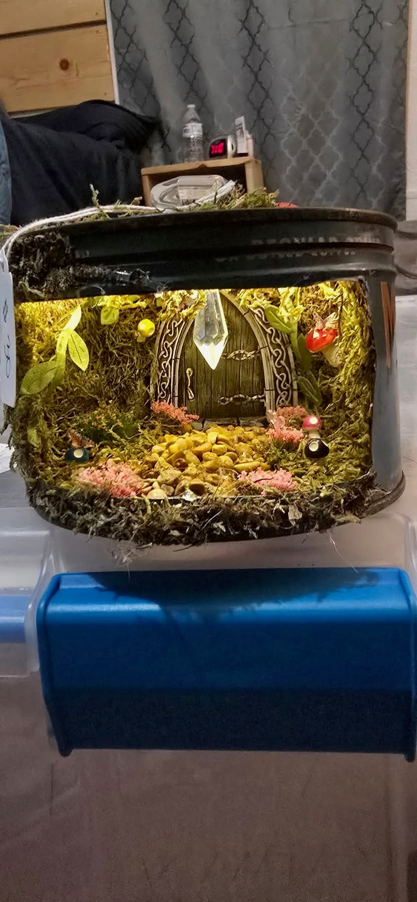 Large custom Terrarium