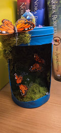 Small Custom Terrarium