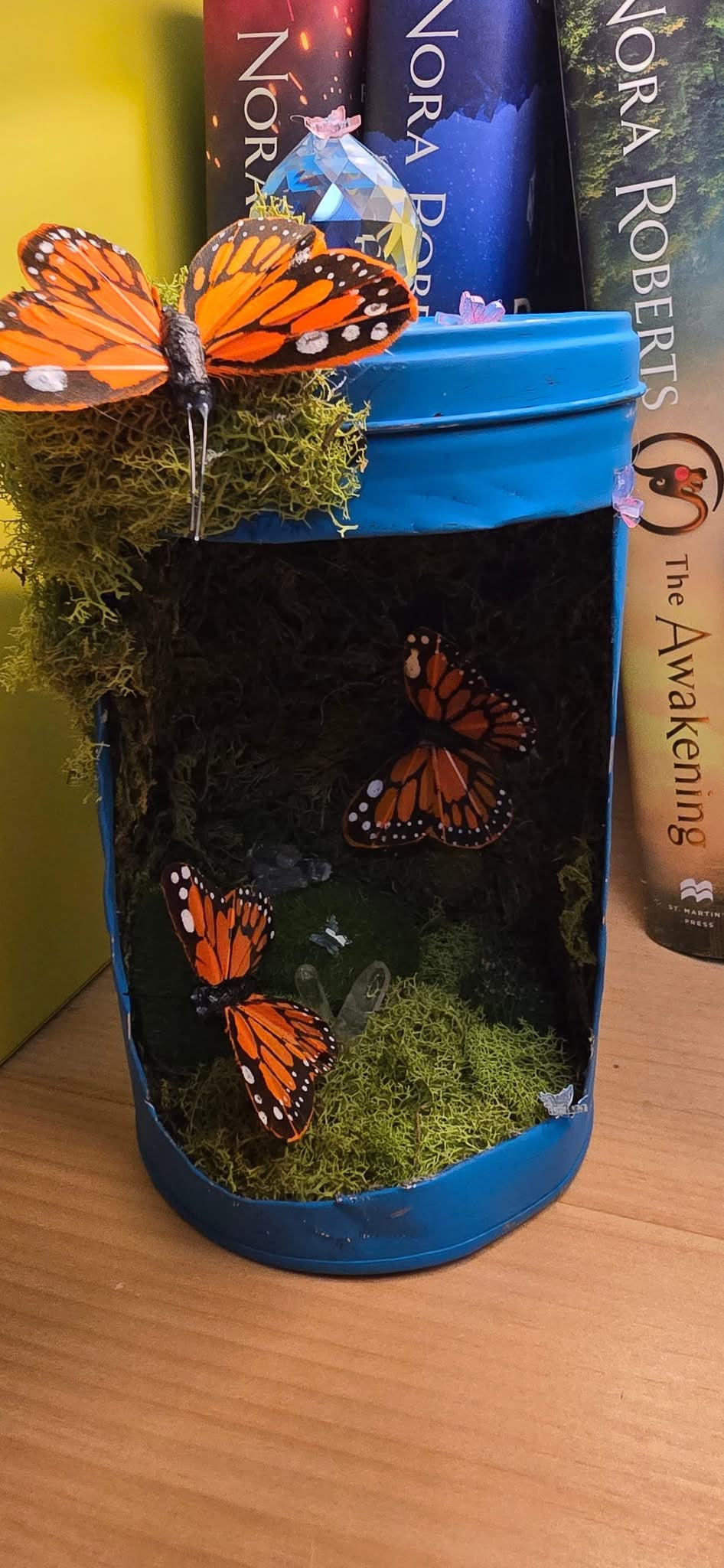 Small Custom Terrarium
