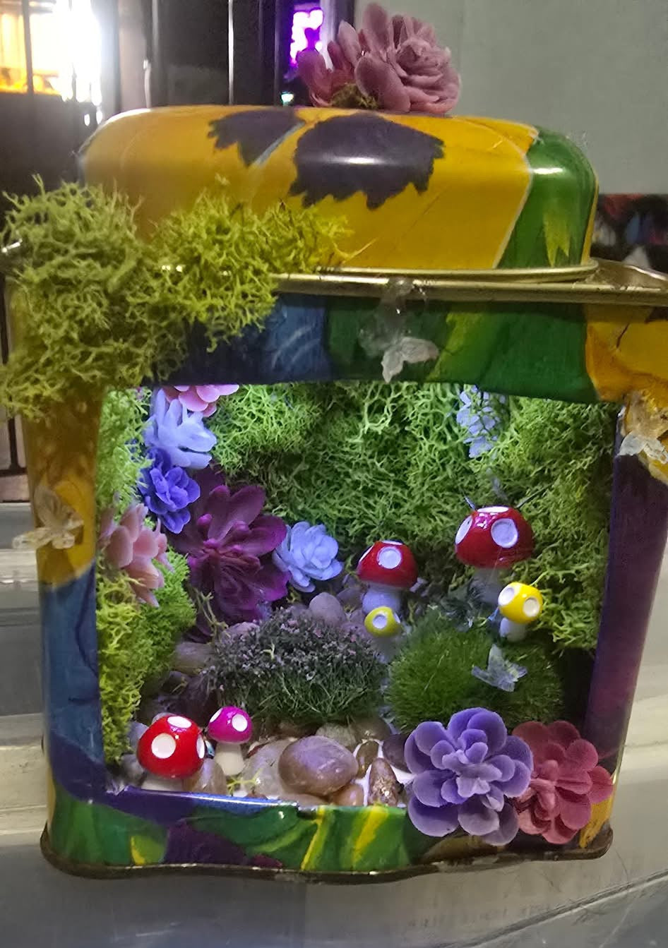 Small Custom Terrarium
