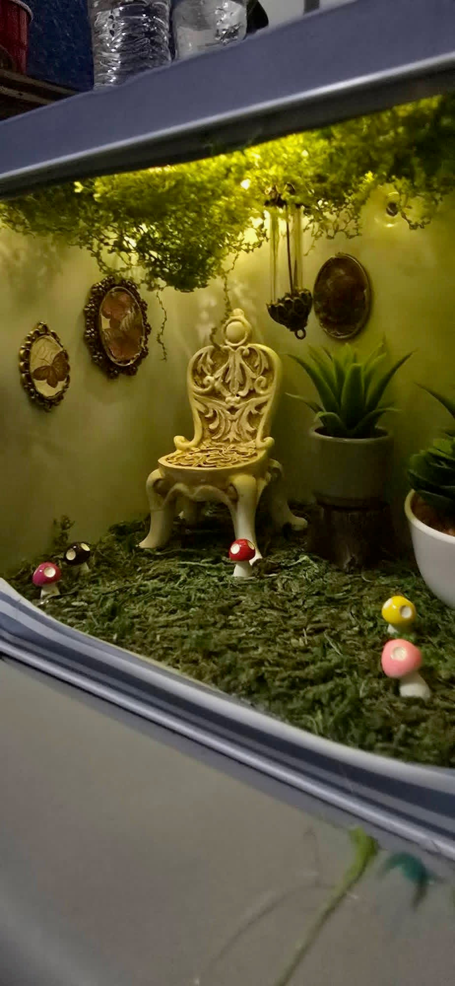 Large custom Terrarium