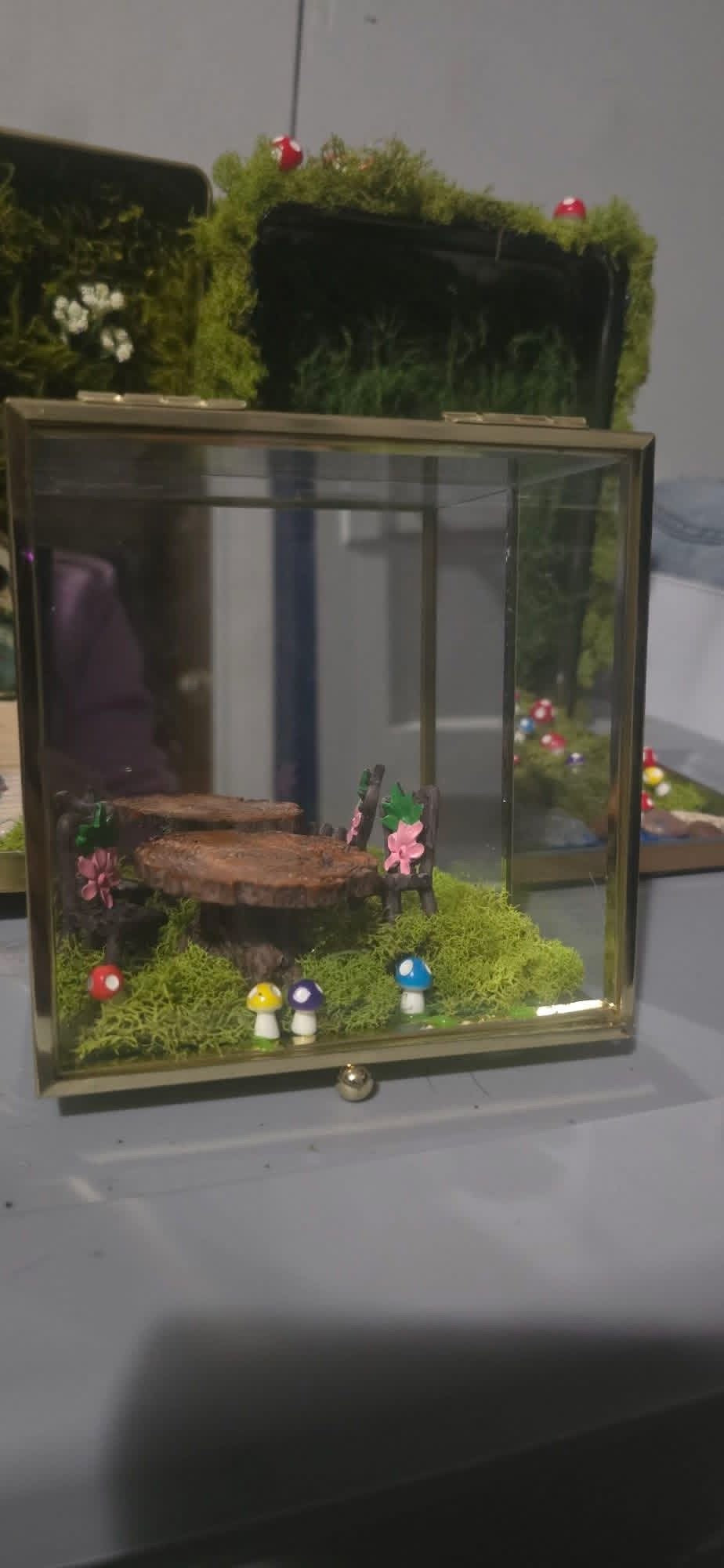 Small Custom Terrarium