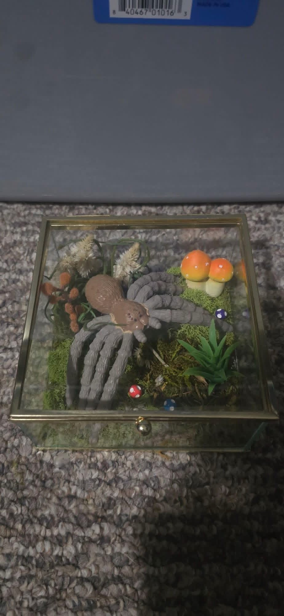 Small Custom Terrarium