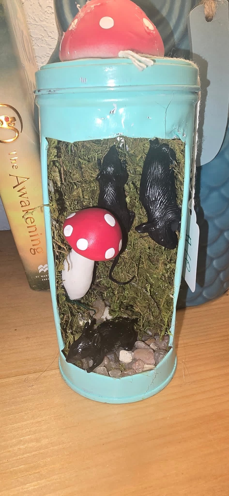 Small Custom Terrarium