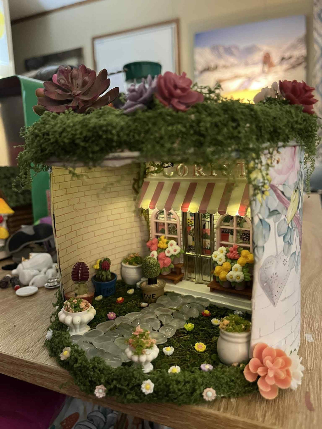 Large custom Terrarium